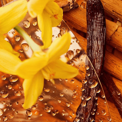 The Aries Ascendant Ritual™ — A 14-Day Skin Reset Ceremony