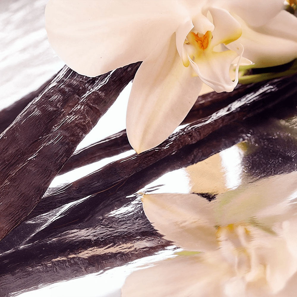 Lunar Silk-Whipped Grass-Fed Tallow Balm with Vanilla Bean
